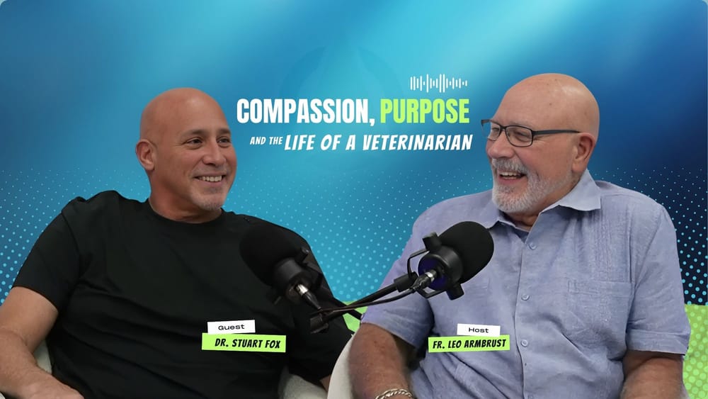 Veterinarian Journey: Compassion, Purpose & The Emotional Cost of Caring