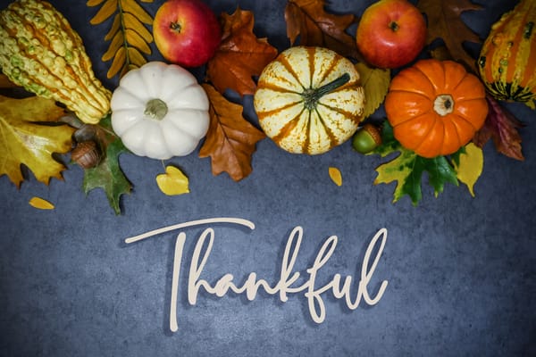 Gratitude is a Great Attitude